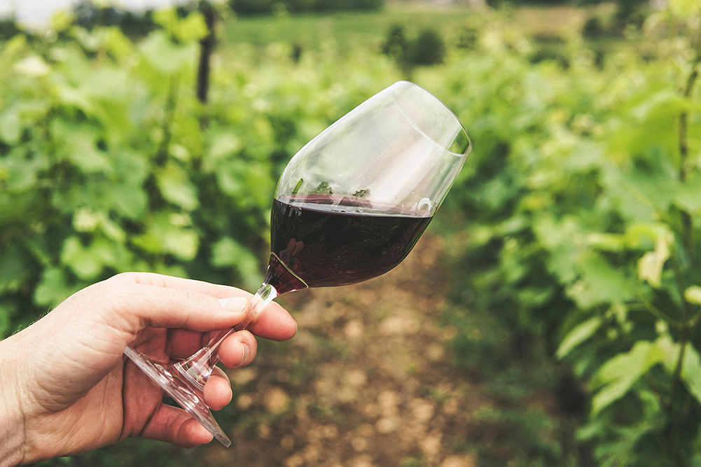Saveurs locales et plaisirs du terroir
