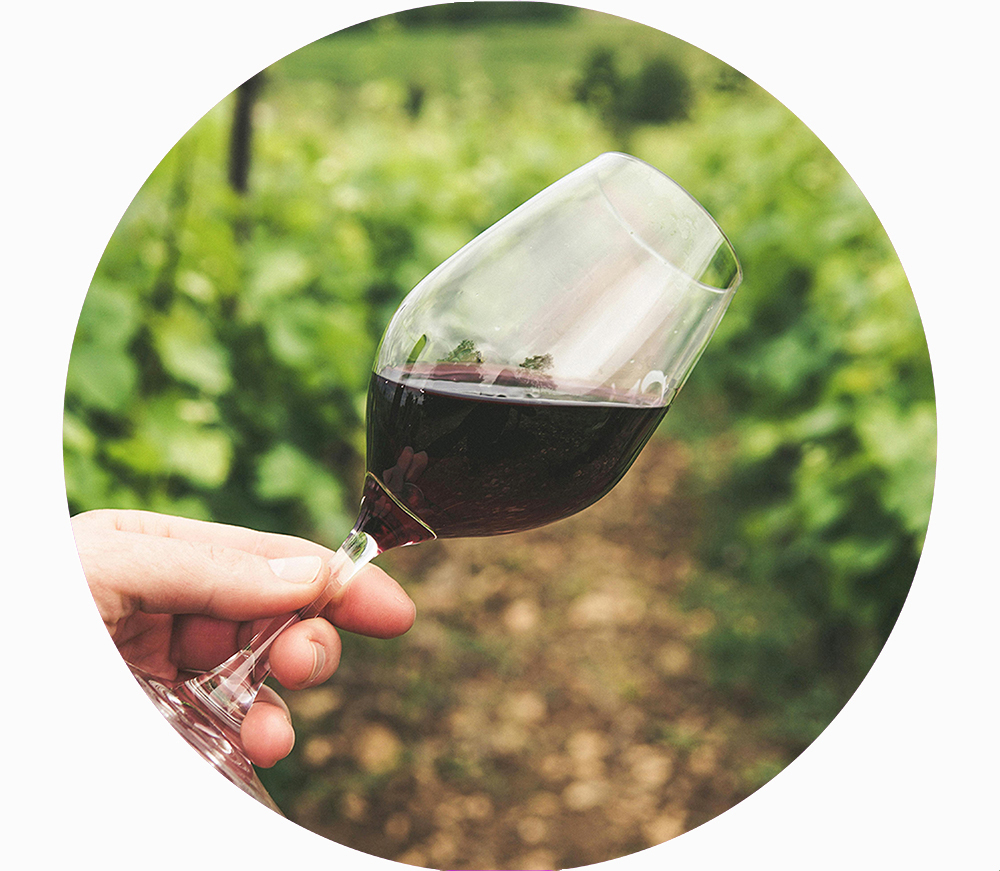 Gastronomie & Terroir